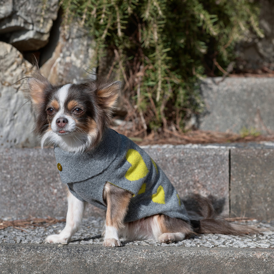 Emma Firenze Jumper Sweater in Cashmere with Hearts Motif for Petite Pups