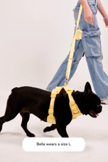 MAXBONE GO! EASY FIT HARNESS