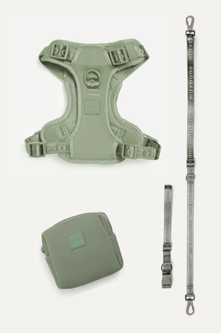 MAXBONE GO! WITH EASE WALK BUNDLE (SAGE) BUY HARNESS, LEASH & POUCH & SAVE MORE THAN $16