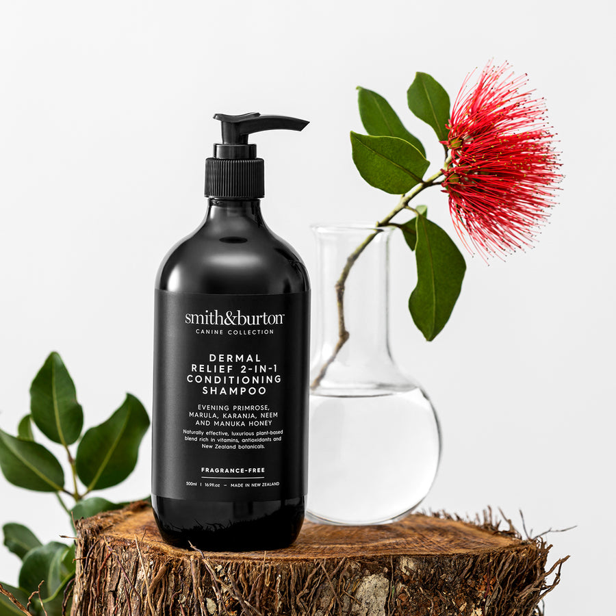 Dermal Relief 2-in-1 Conditioning Shampoo (500ml)