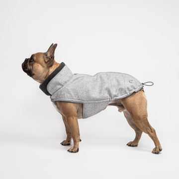 Dog Coat Cloud7 Brooklyn French Bulldog Flannel Grey