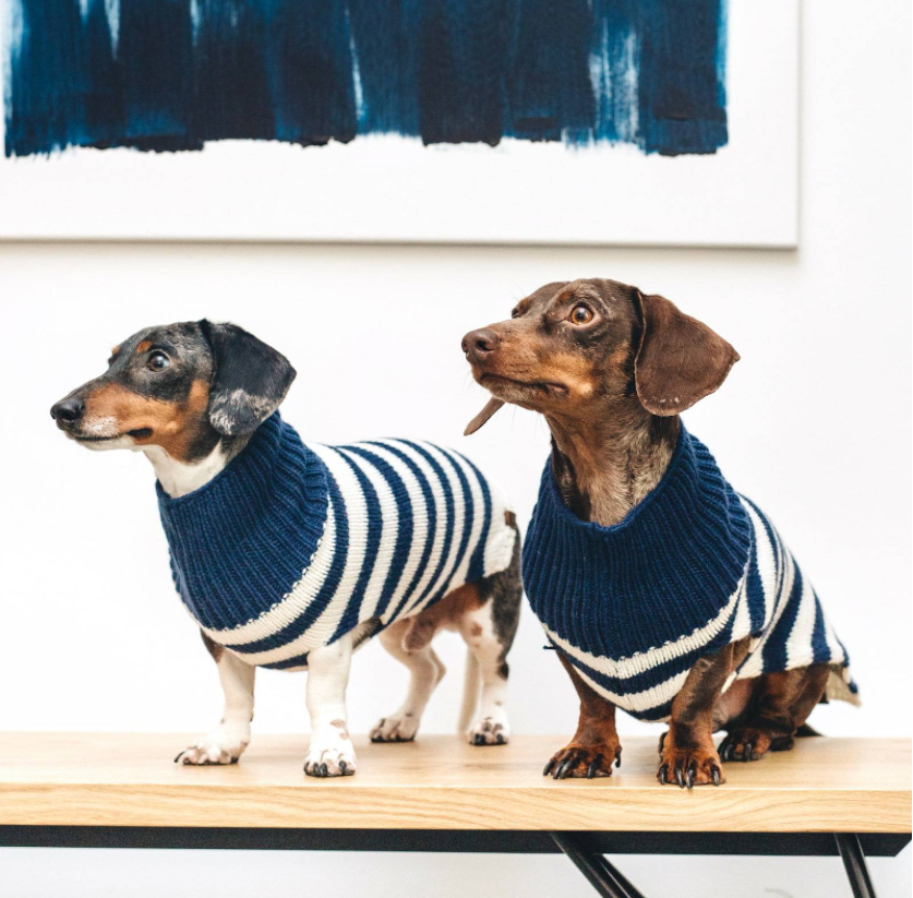 Dog Jumpers - Cloud7 Helsinki Knitted Jumper in Navy/Cream