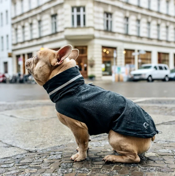 Dog Raincoat CLOUD7 French Bulldog LONDON Slate