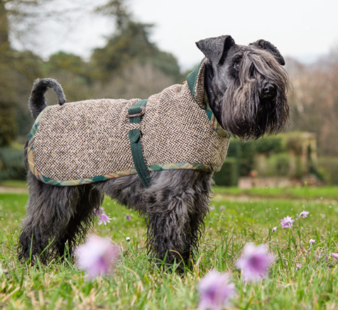 Emma Firenze Green Tweed Dog Coat - Made to Measure