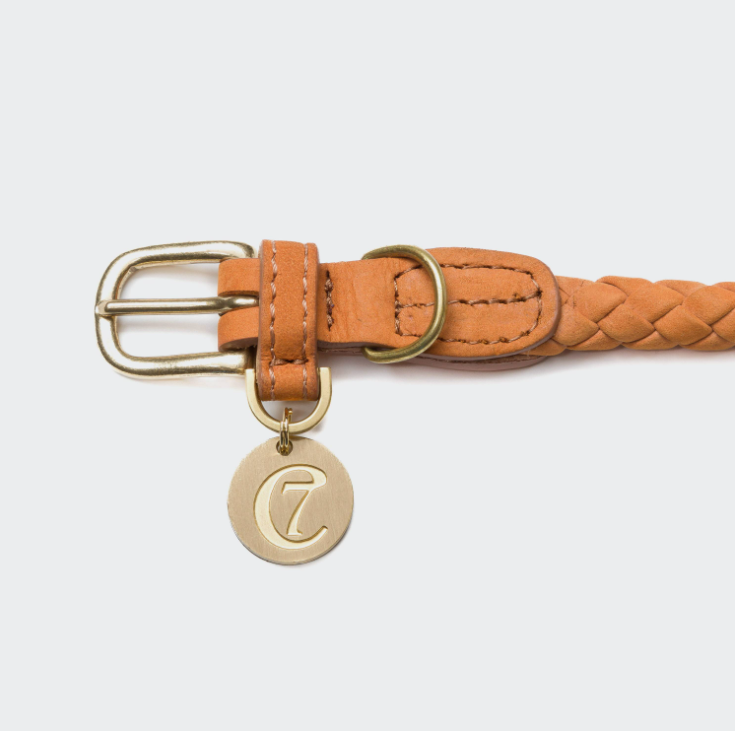 Cloud7 Ravello Dog Collar available in Peach, Dove Blue, Lemon, Pumpkin, Moss & Hazel - Italian Leather