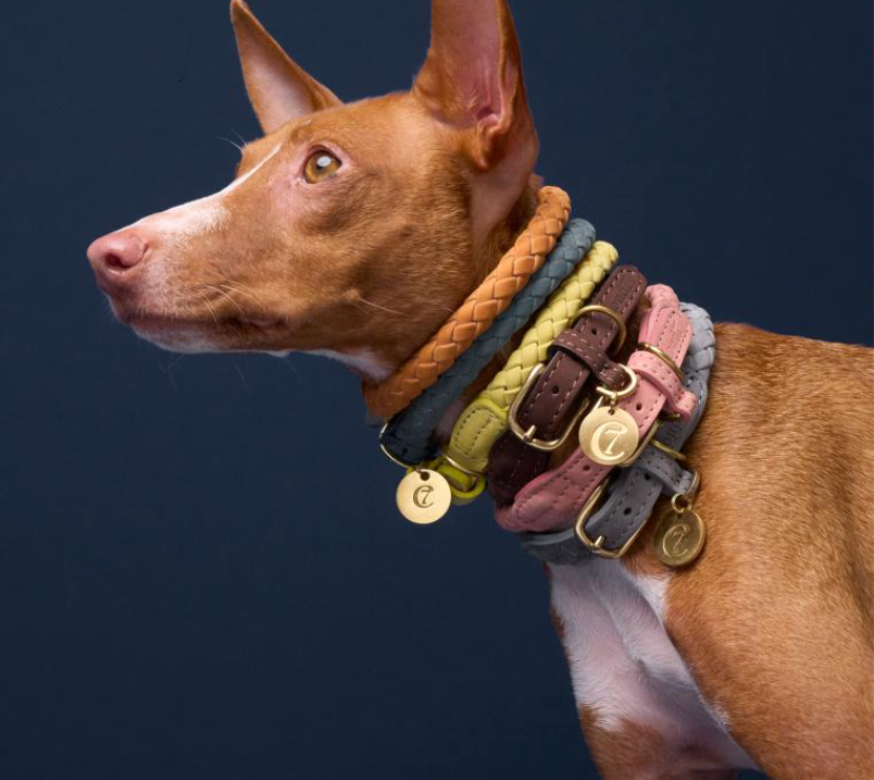 Cloud7 Ravello Dog Collar available in Peach, Dove Blue, Lemon, Pumpkin, Moss & Hazel - Italian Leather