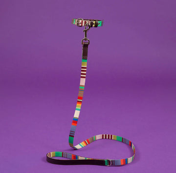 Ware of the Dog New York - Lavender/Burgandy Multi Striped Webbed Collar & Lead Set