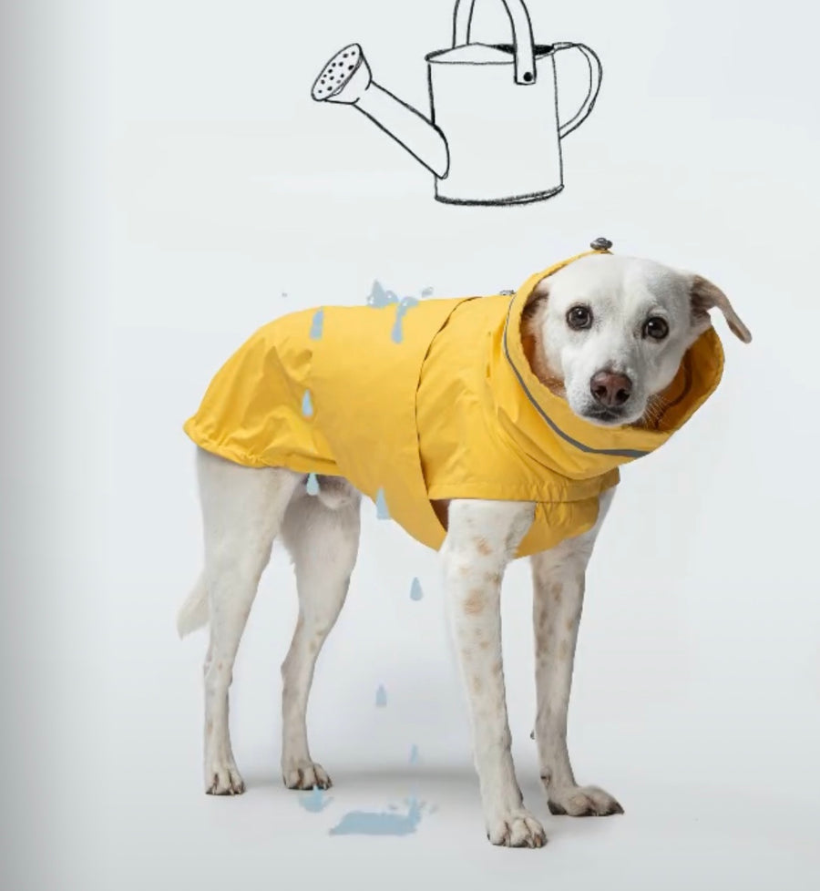 Dog Raincoat Cloud7 Hamburg Saffron