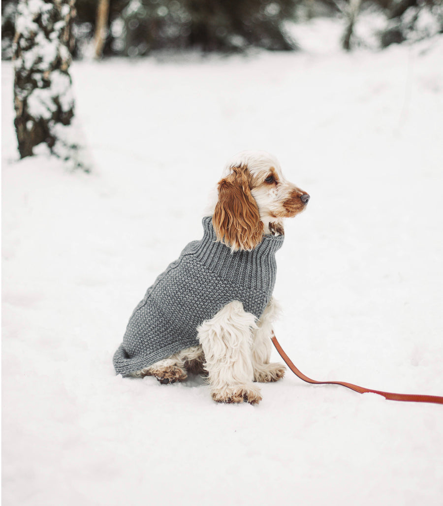Dog Jumpers - Cloud7 Oslo Knitted Jumper