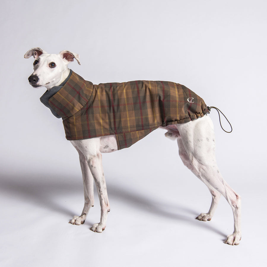Dog Coat Cloud7 Brooklyn Waxed Tartan for Dogs - Now in store