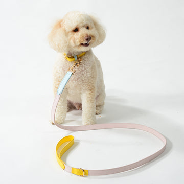 Dog Collar & Lead SET by Coco & Nero Sydney in Lemon, Pink & Blue