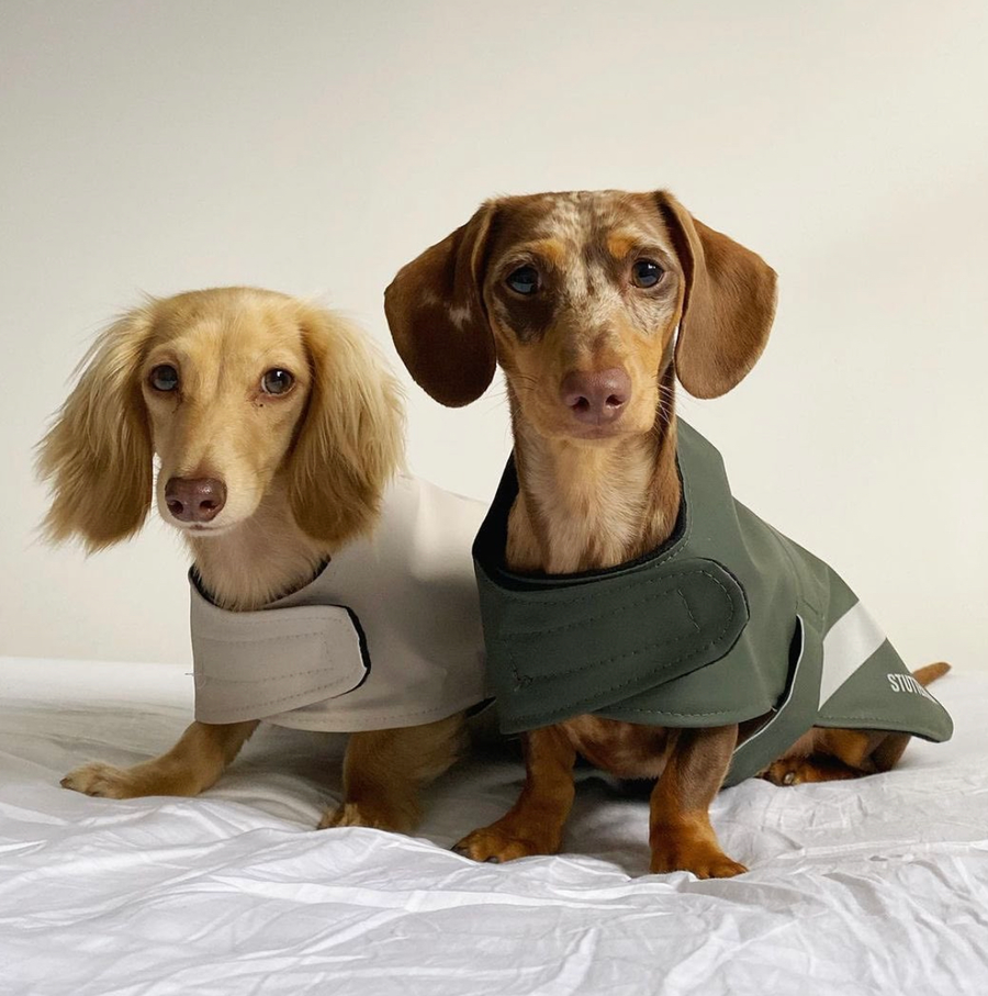 STUTTERHEIM Dog Raincoat 100% Rainproof