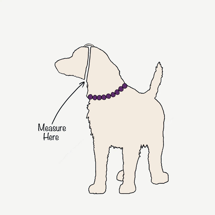 Shimmery Crepe Bead Dog Necklace - Jewellery