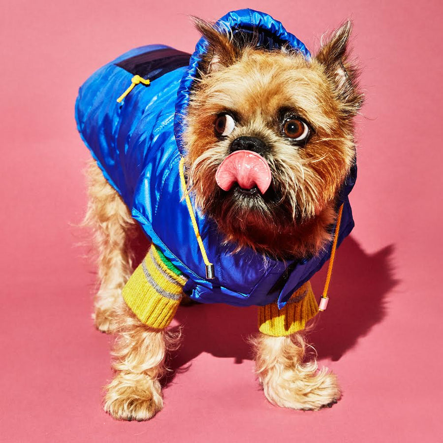 Ware of the Dog Royal Navy Nylon Puffer Raincoat