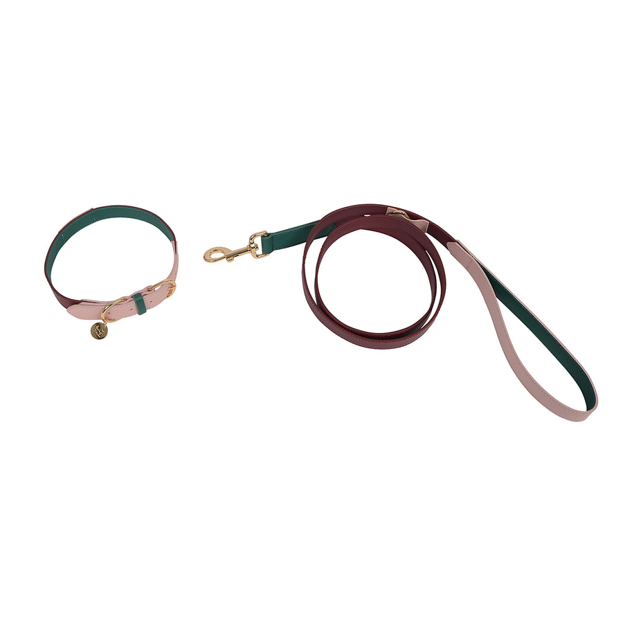 Dog Collar & Lead SET by Coco & Nero Sydney in Pomegranate, Rose & Green